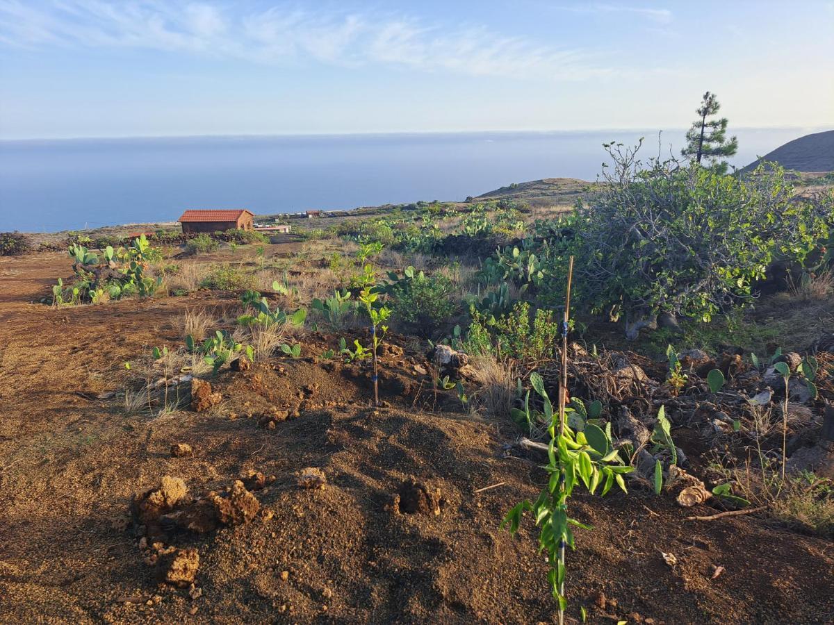 Las Casitas De Pao El Pinar  Eksteriør billede