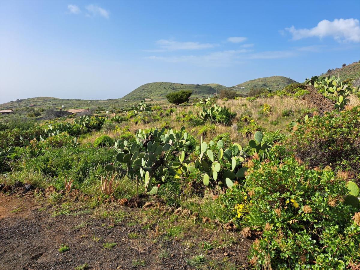 Las Casitas De Pao El Pinar  Eksteriør billede