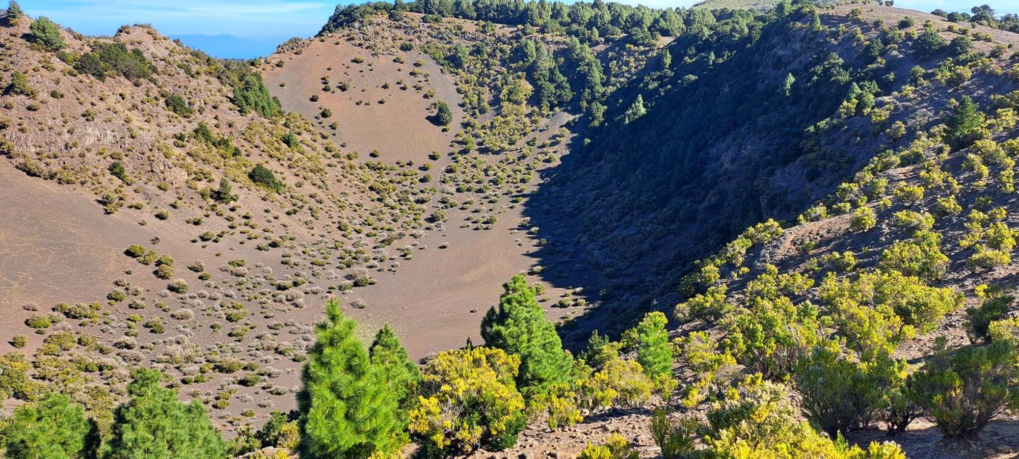 Las Casitas De Pao El Pinar  Eksteriør billede