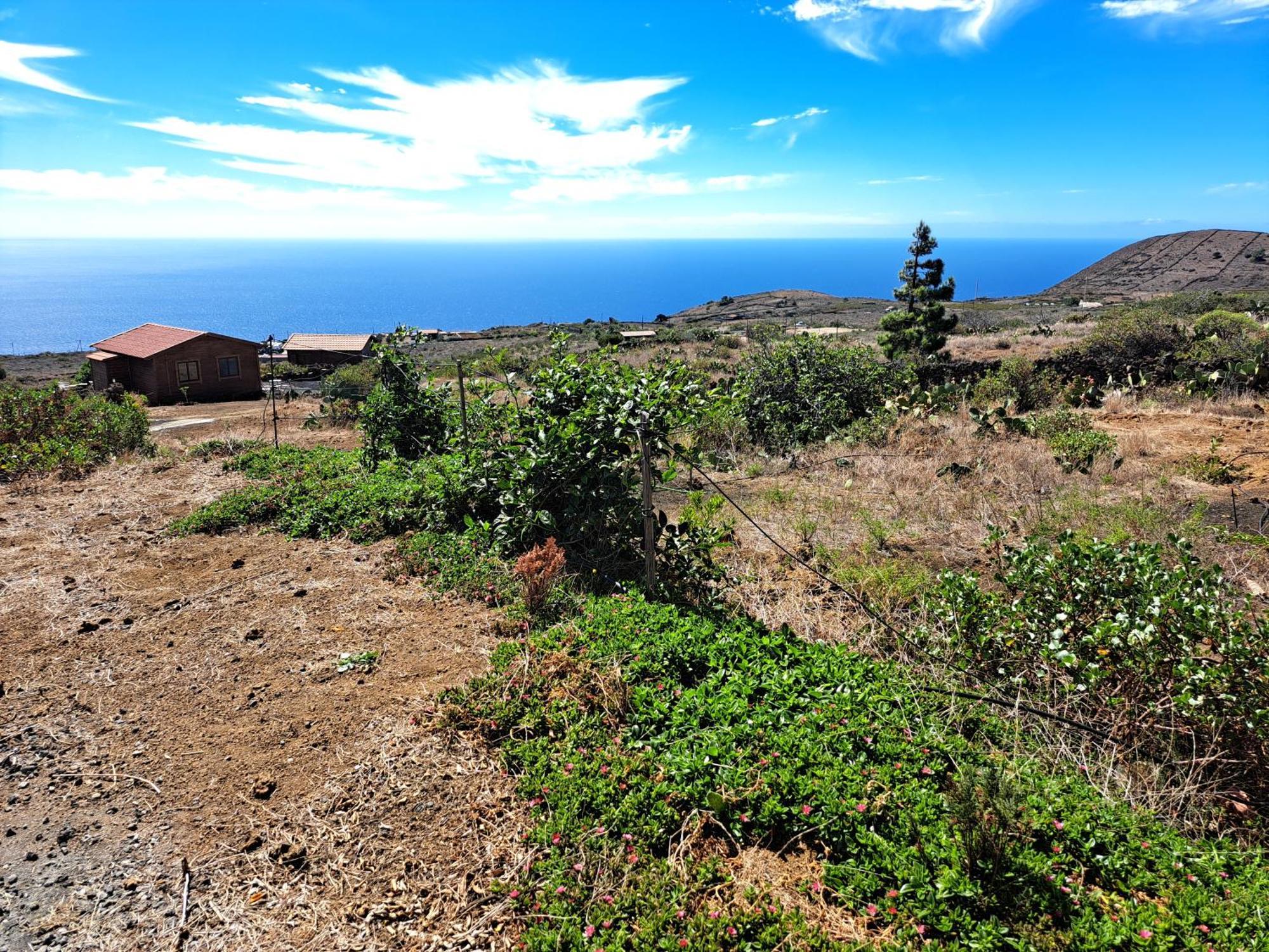 Las Casitas De Pao El Pinar  Værelse billede